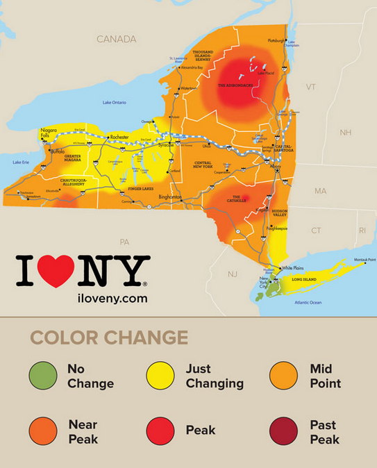 Near peak fall foliage in the Catskills this weekend!