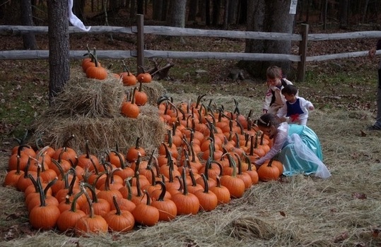 PumpkinFest in Barryville, NY