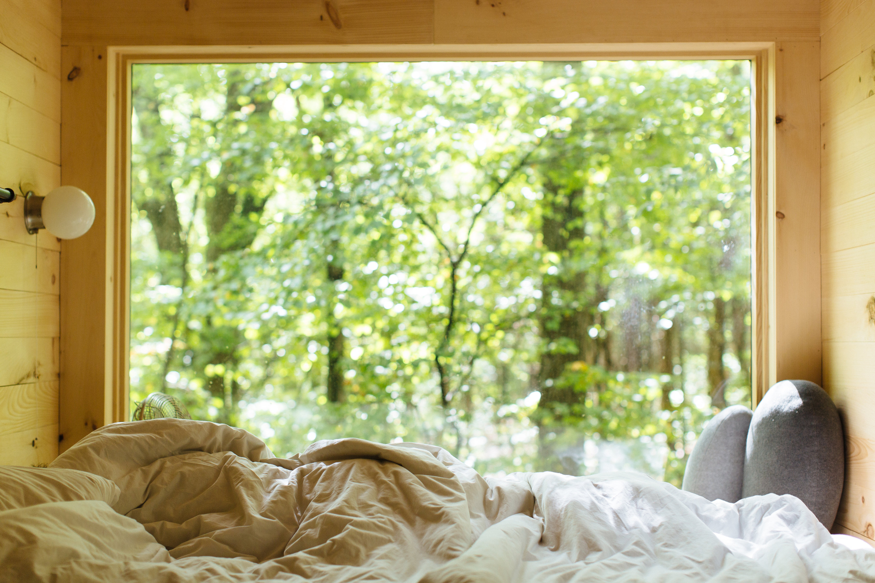 Peek outside the window (Photo Credit: Jennifer Young)