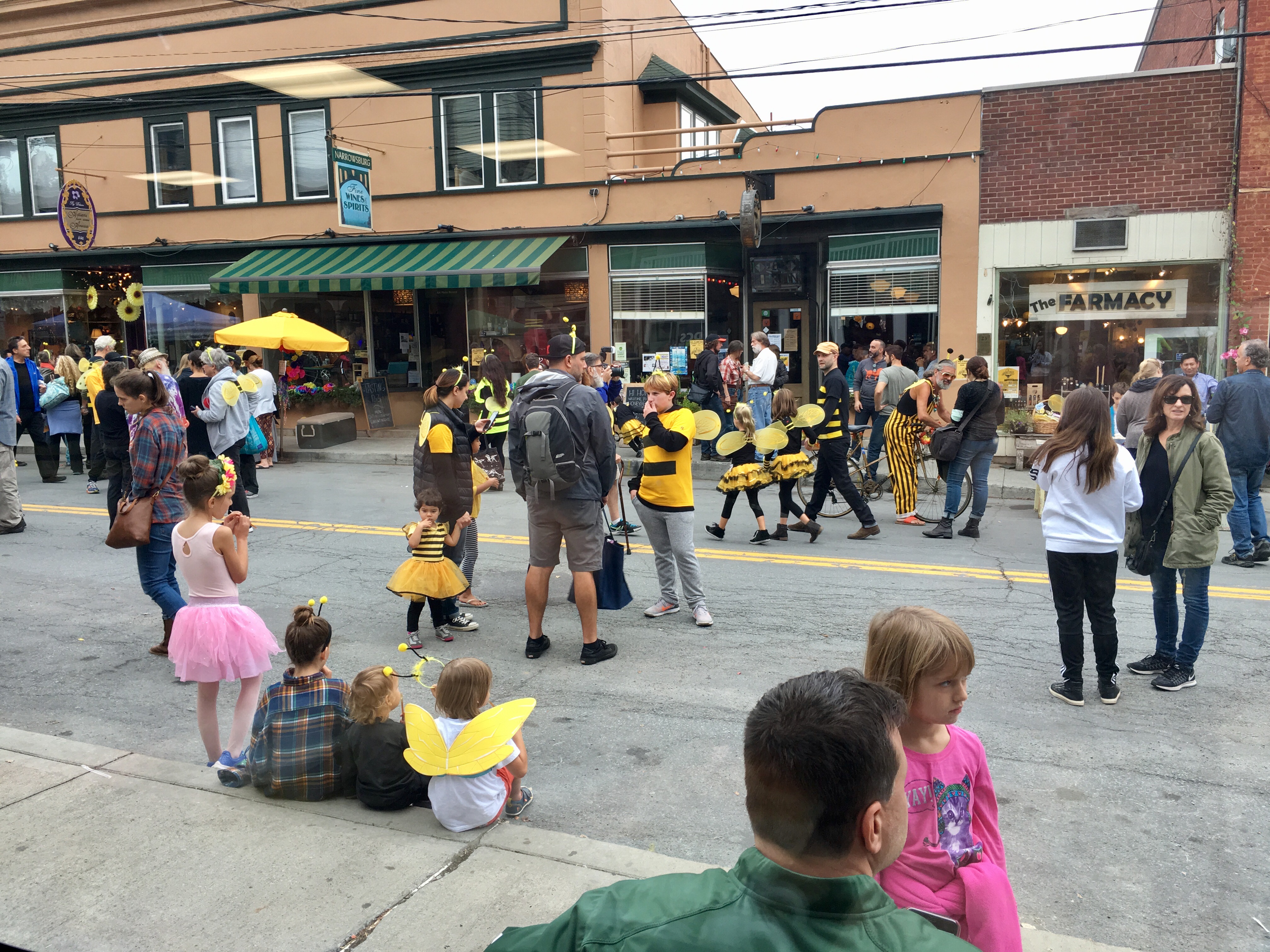 Bees on the lose at Honeybee Fest!