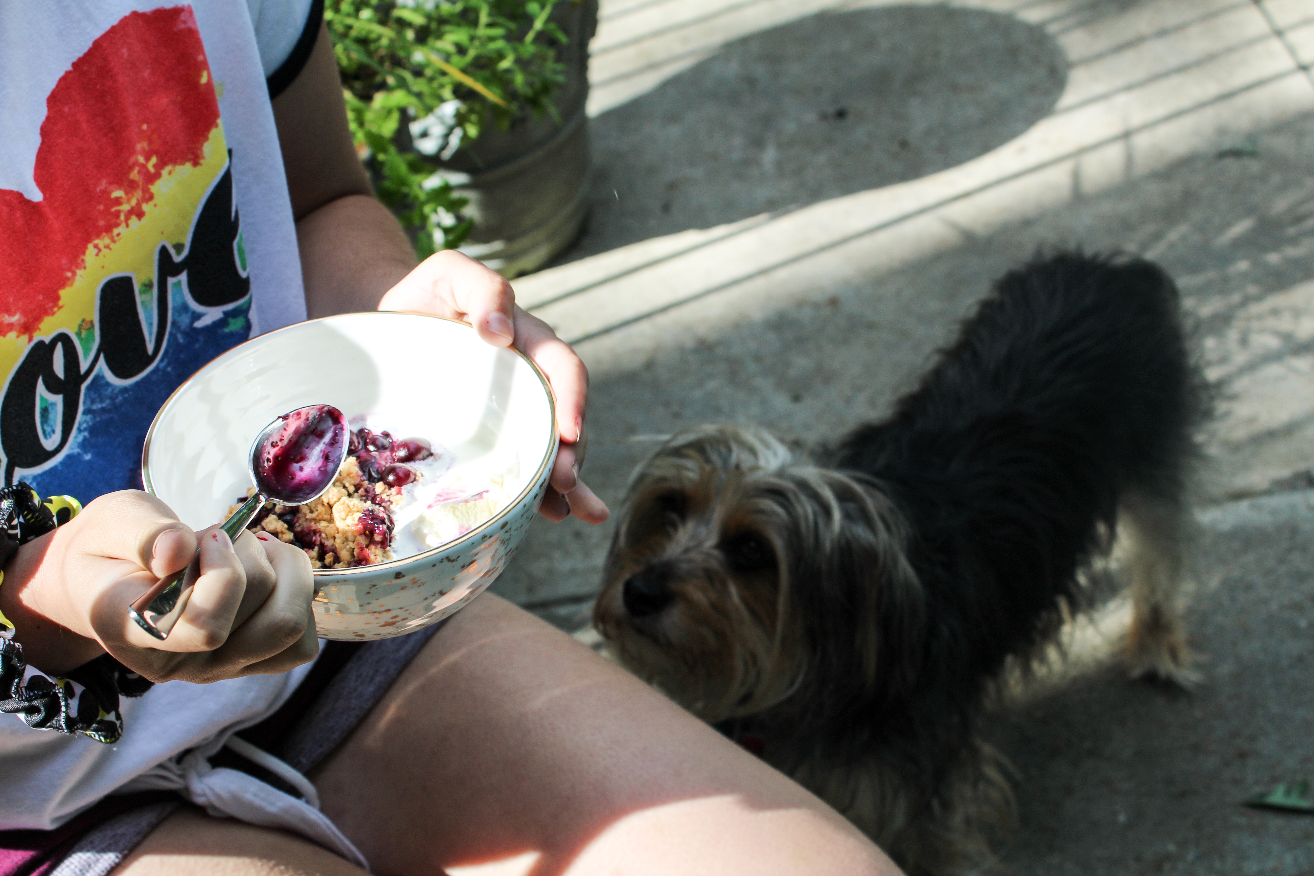 Don't turn your back on your bowl or someone might be waiting to eat it up!