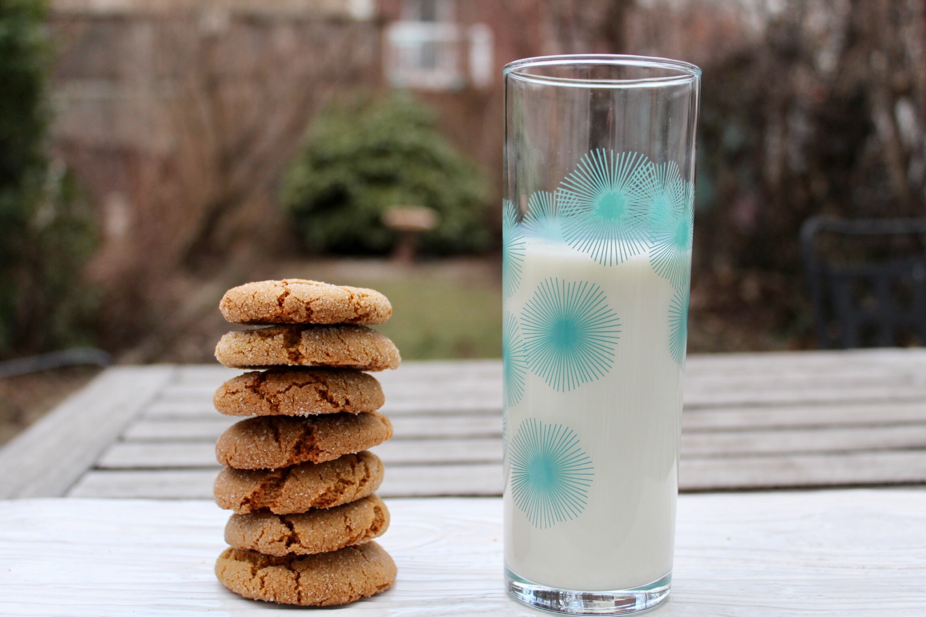 Molasses ginger cookies are made for dunking and go great with a glass of milk!