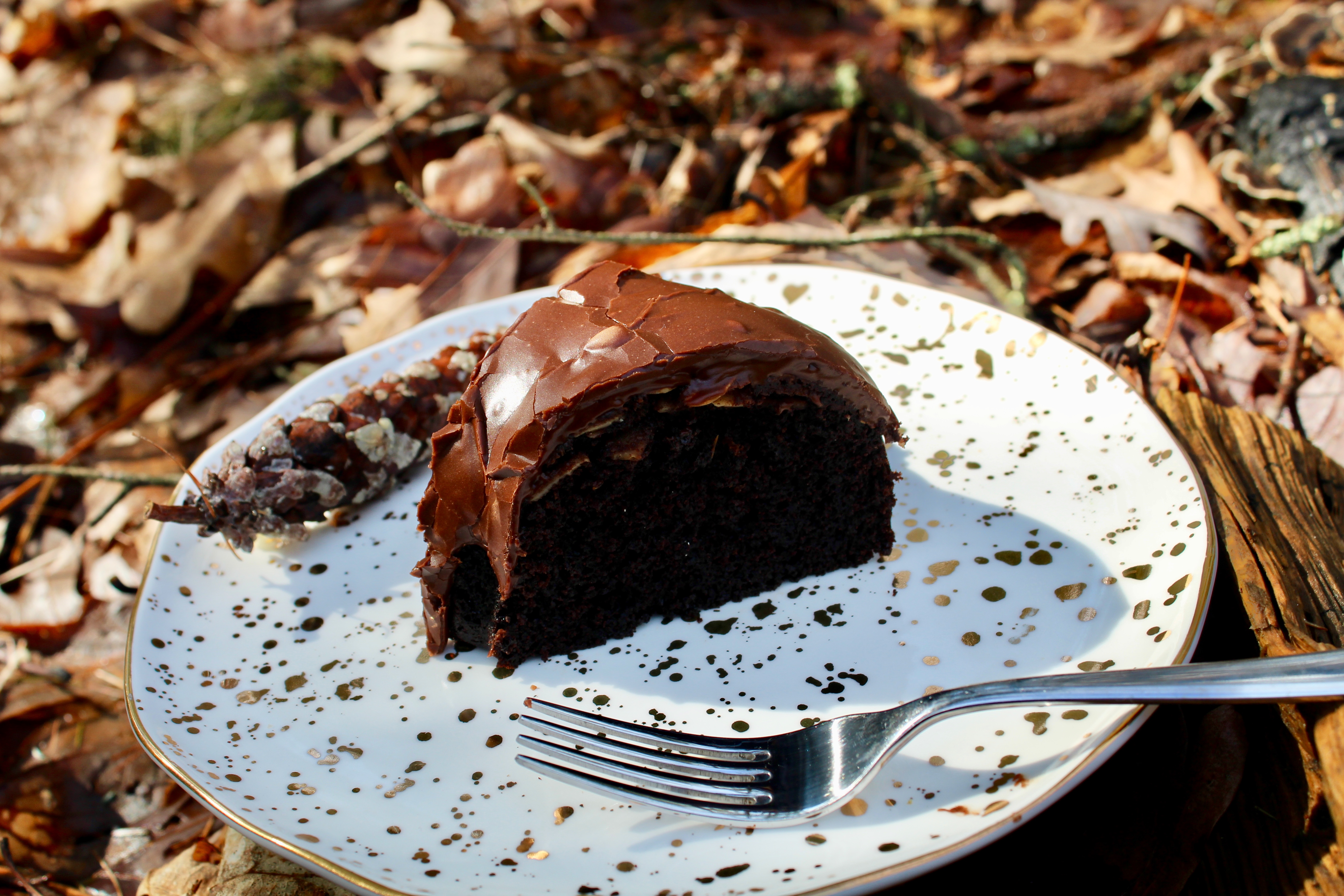 Whether enjoyed in the woods or at at the table this cake is delicious!