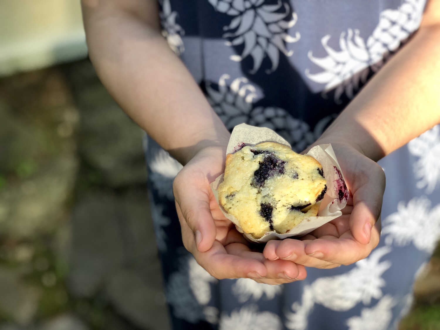 Ya Basic Blueberry Muffins taste even better when bathed in the glow of natural sunlight!