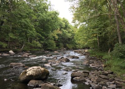 The Mongaup River