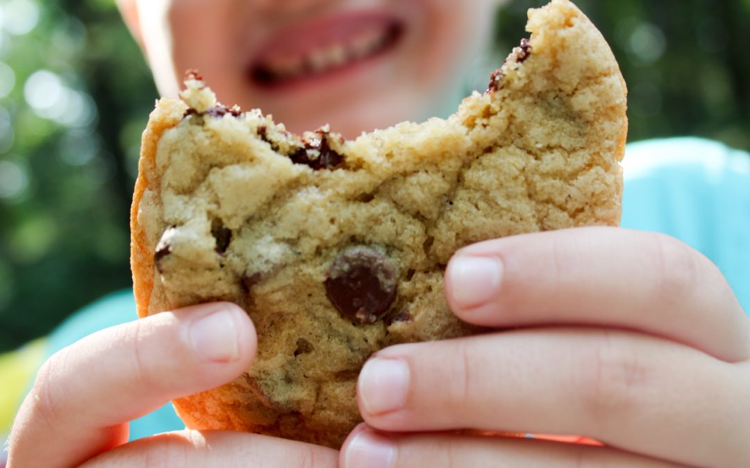 Chocolate Chip Cookie, Oh How We Love You