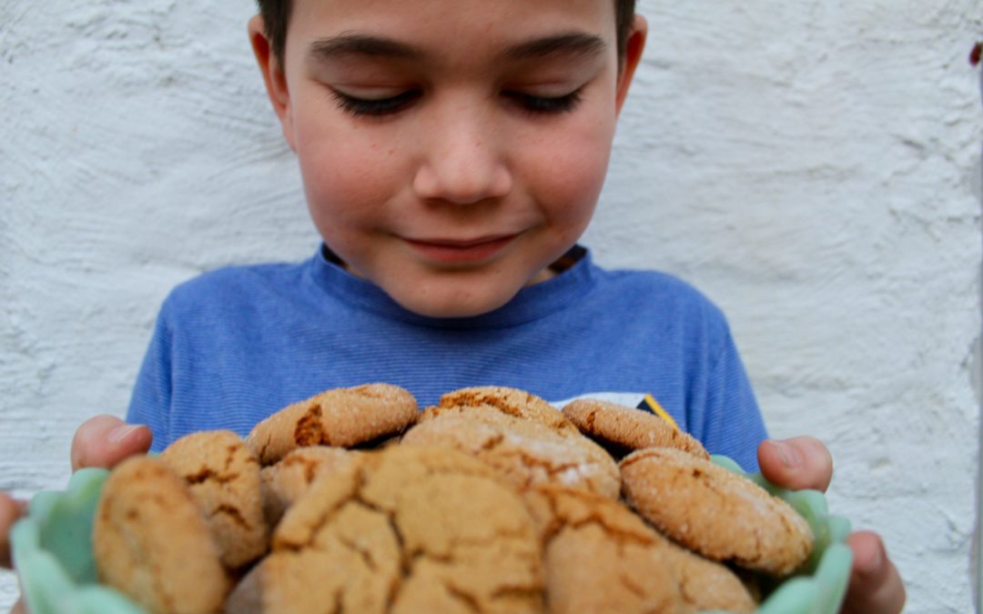 Molasses Ginger Cookies Are Your January Treat