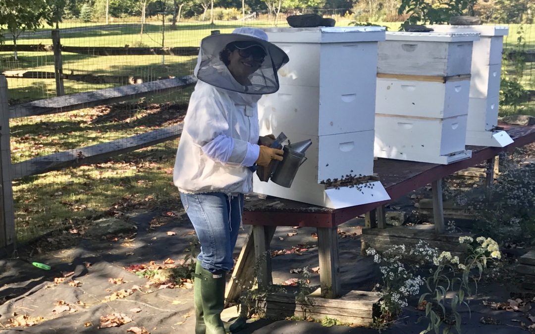 For the Love of Honey, a Catskills Success Story