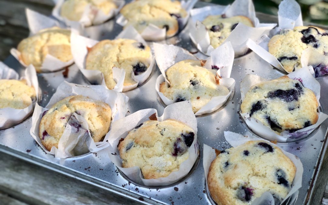 (Ya Basic) Blueberry Muffins