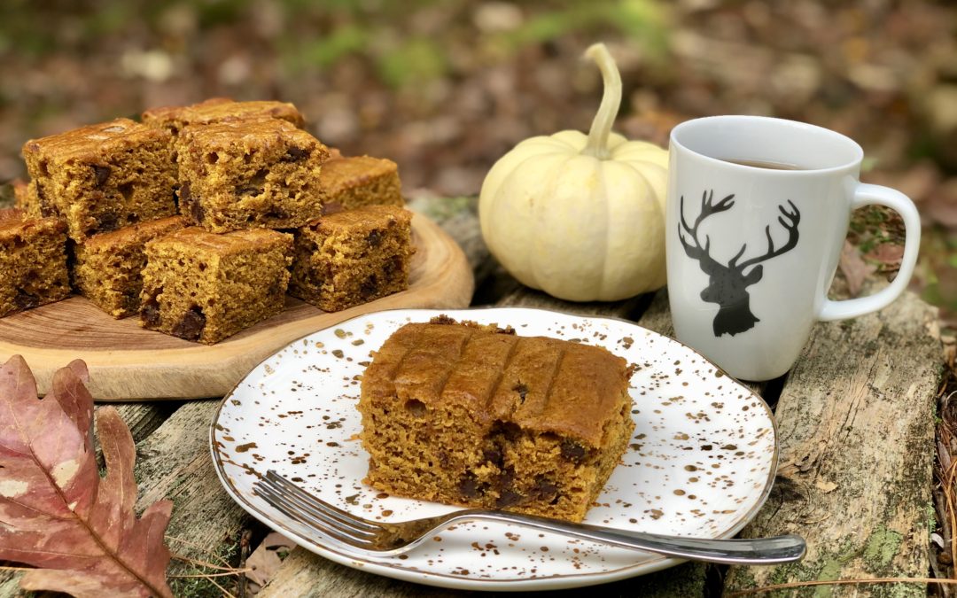 Pumpkin Snacking Squares – Everything a Fall Treat Should Be (and More!)